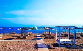 Olive Grove Beachfront